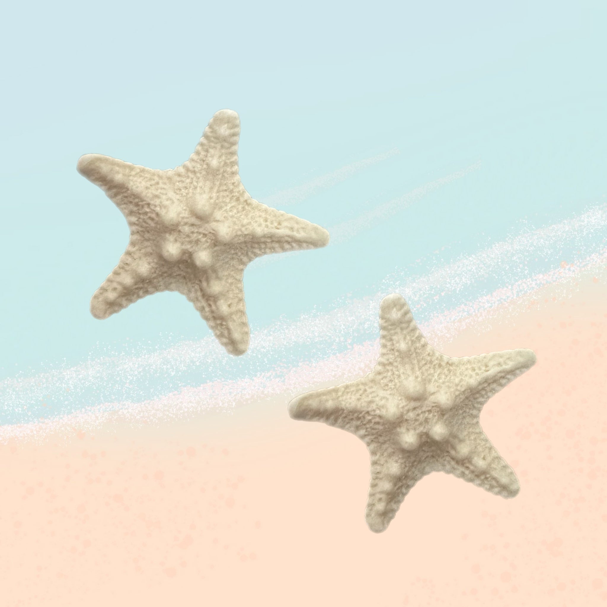 Star Fish Alligator Clips (Set of 2)